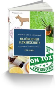 ebook Cover Zecken