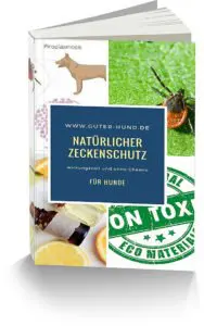 ebook Cover Zecken